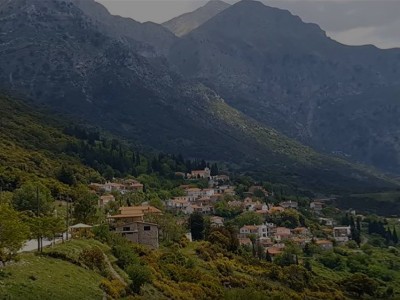 kaloysi